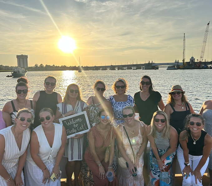 party-cat-slider (3)