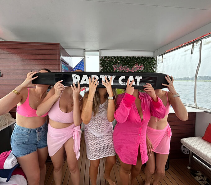 party-cat-slider (4)